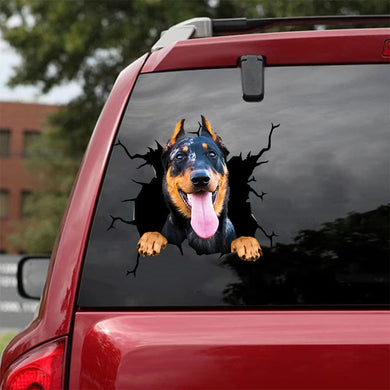 [da1084-snf-lad]-beauceron-crack-car-sticker-dogs-lover