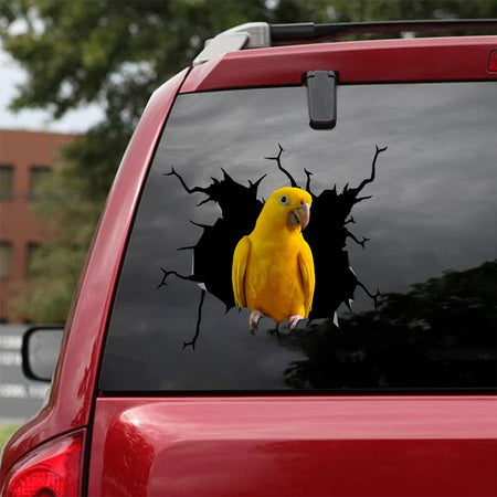 [bv0152-snf-tnt]-nanday-parakeet-parrot-crack-car-sticker-birds-lover