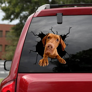 [bv0148-snf-tpa]-vizsla-dog-crack-car-sticker-dogs-lover