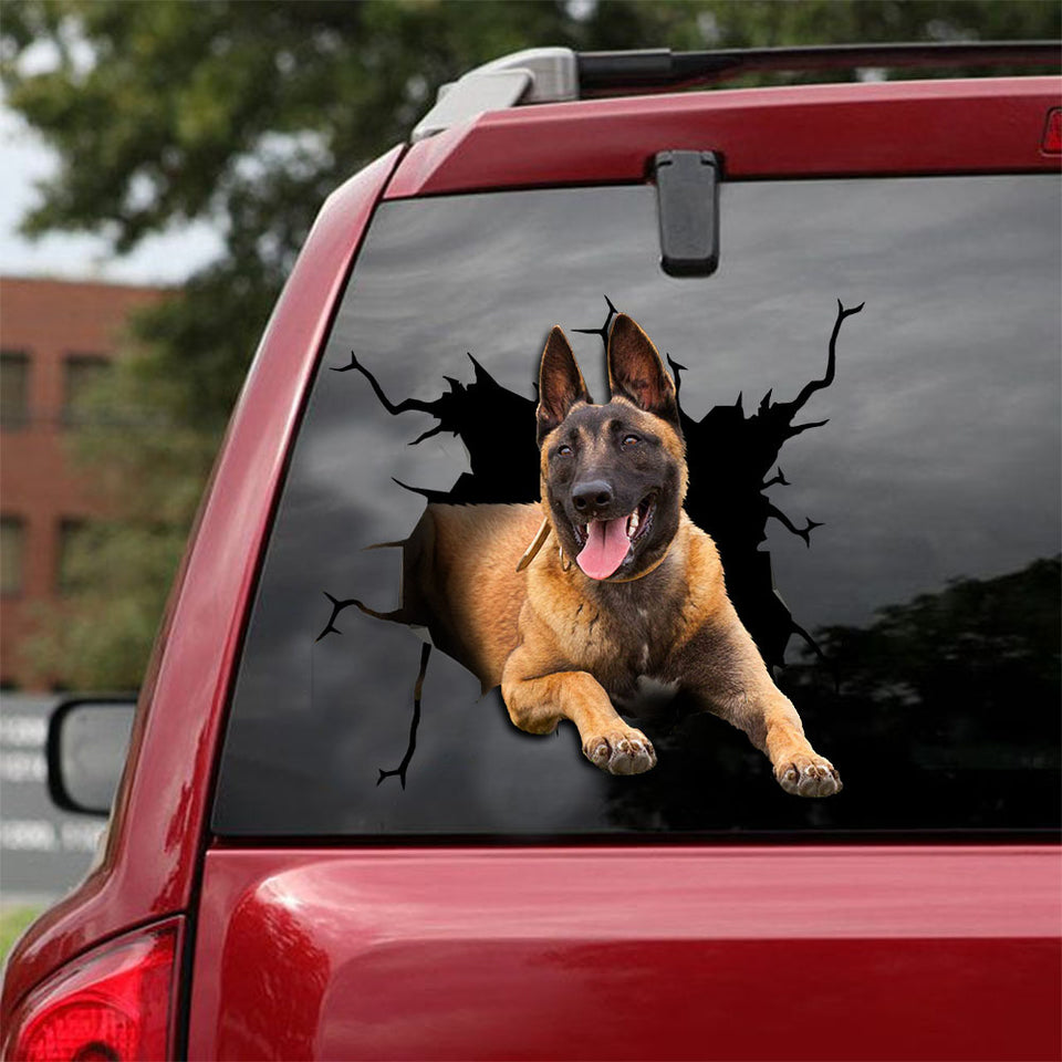 [ld0369-snf-tpa]-belgian-malinois-crack-car-sticker-dogs-lover