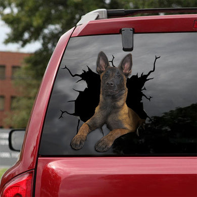 [ld0371-snf-tpa]-belgian-malinois-crack-car-sticker-dogs-lover