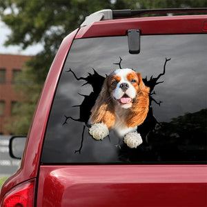 [ld0374-snf-lad]-king-charles-spaniel-crack-car-sticker-dogs-lover