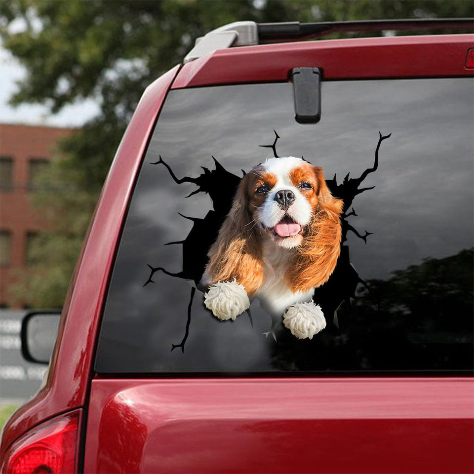 [ld0374-snf-lad]-king-charles-spaniel-crack-car-sticker-dogs-lover