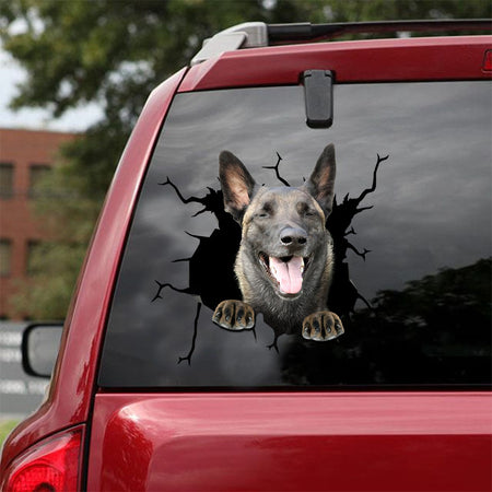 [ld0411-snf-lad]-belgian-malinise-crack-car-sticker-dogs-lover