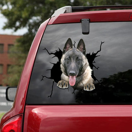 [ld0412-snf-lad]-belgian-malinise-crack-car-sticker-dogs-lover