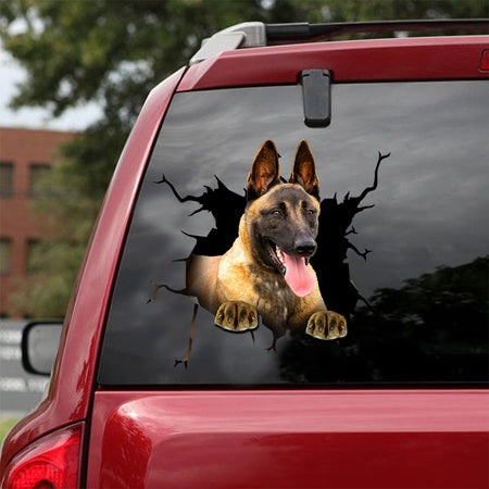 [ld0415-snf-lad]-belgian-malinise-crack-car-sticker-dogs-lover