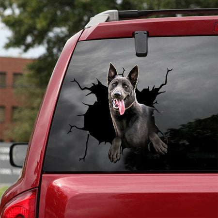 [ld0416-snf-lad]-belgian-malinise-crack-car-sticker-dogs-lover