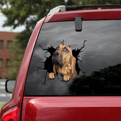 [ld1114-snf-lad]-bloodhound-crack-car-sticker-dogs-lover