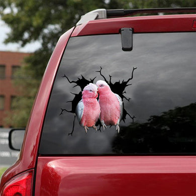 [ld1119-snf-lad]-pink-galah-crack-car-sticker-birds-lover