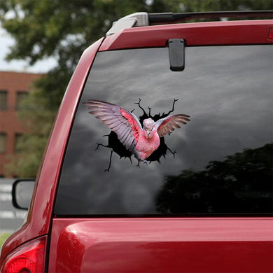 [ld1120-snf-lad]-pink-galah-crack-car-sticker-birds-lover