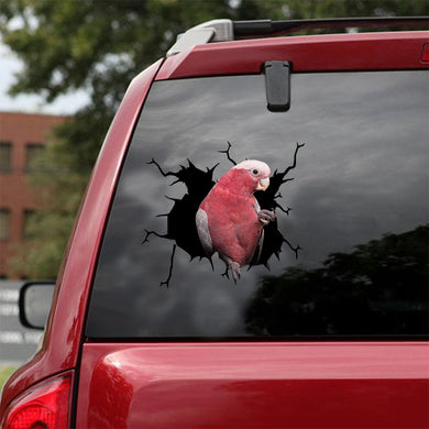 [ld1122-snf-lad]-pink-galah-crack-car-sticker-birds-lover