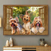 [ld0570-snf-lad]-yorkshire-terrier-poster-dogs-lover