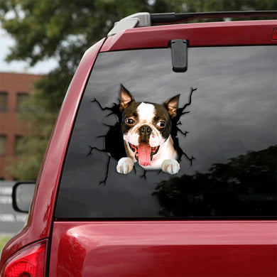 [th0746-snf-tpa]-boston-terrier-crack-car-sticker-dogs-lover