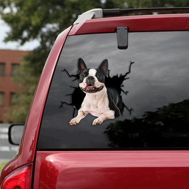 [th0750-snf-tpa]-boston-terrier-crack-car-sticker-dogs-lover