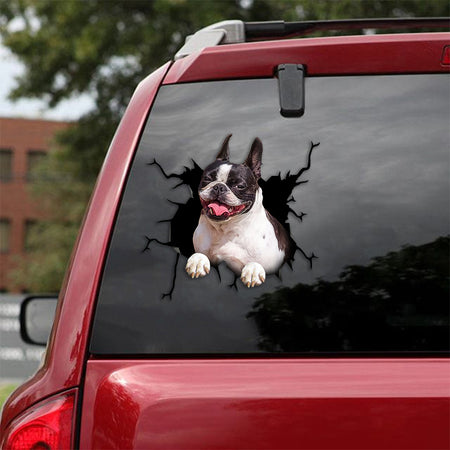 [th0751-snf-tpa]-boston-terrier-crack-car-sticker-dogs-lover