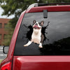 [th0752-snf-tpa]-boston-terrier-crack-car-sticker-dogs-lover