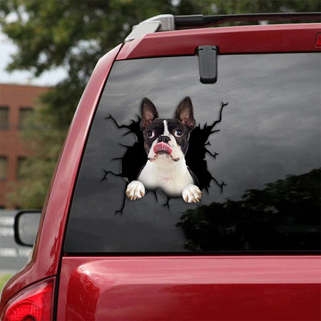 [th0753-snf-tpa]-boston-terrier-crack-car-sticker-dogs-lover