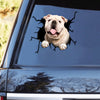 [th0692-snf-tpa]-english-bulthog-crack-car-sticker-dogs-lover
