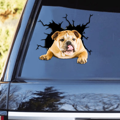 [th0693-snf-tpa]-english-bulthog-crack-car-sticker-dogs-lover