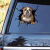 [th0694-snf-tpa]-english-bulthog-crack-car-sticker-dogs-lover