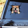 [th0695-snf-tpa]-english-bulthog-crack-car-sticker-dogs-lover
