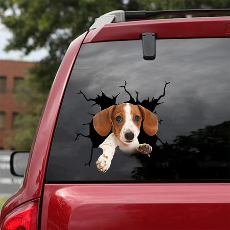 [da0298-snf-tnt]-dachshund-crack-car-sticker-dogs-lover
