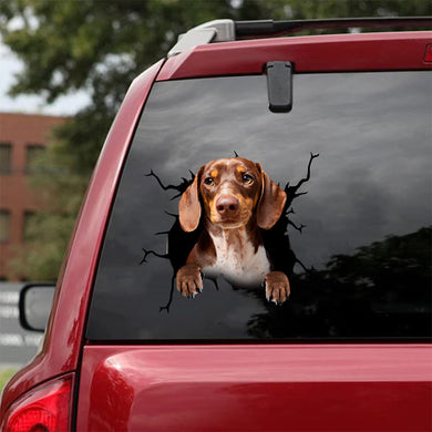 [da0299-snf-tnt]-dachshund-crack-car-sticker-dogs-lover