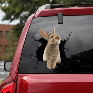 [da0311-snf-tnt]-rabbit-crack-car-sticker-rabbits-lover