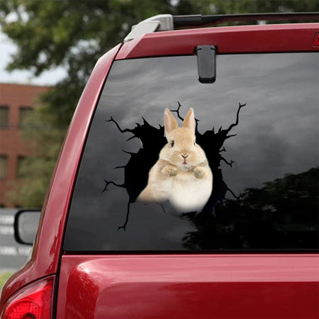 [da0317-snf-tnt]-rabbit-crack-car-sticker-rabbits-lover