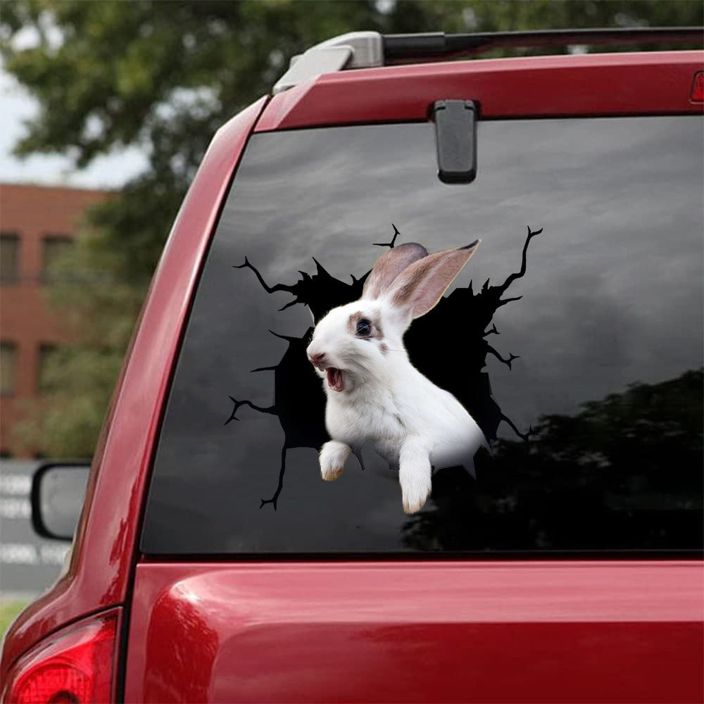 rabbit crack car sticker rabbits lover – Camellia Print