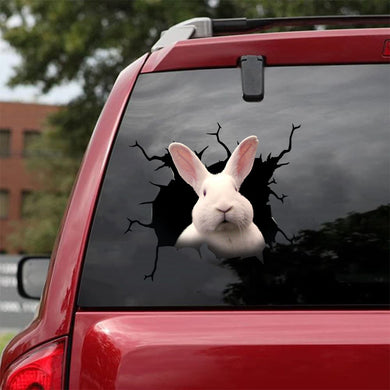 [da0304-snf-tnt]-rabbit-crack-car-sticker-rabbits-lover