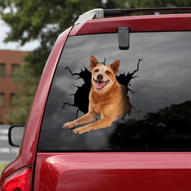 [ld0944-snf-lad]-red-healer-crack-car-sticker-dogs-lover