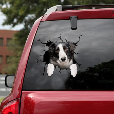 [ld1187-snf-lad]-border-collie-crack-car-sticker-dogs-lover