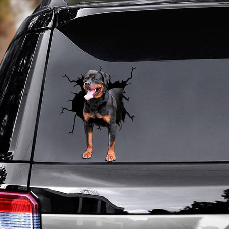 [ld1223-snf-lad]-rottweiler-crack-car-sticker-dogs-lover