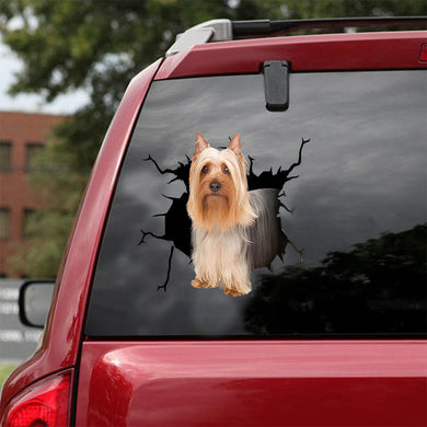 [ld1161-snf-lad]-australian-silky-terrier-crack-car-sticker-dogs-lover