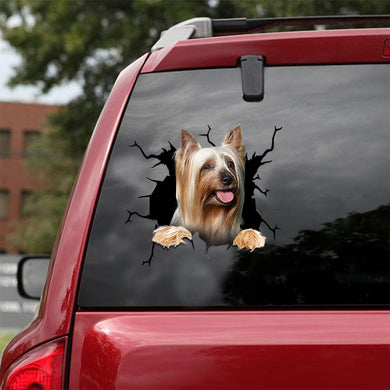 [ld1162-snf-lad]-australian-silky-terrier-crack-car-sticker-dogs-lover