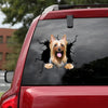 [ld1163-snf-lad]-australian-silky-terrier-crack-car-sticker-dogs-lover