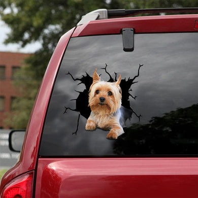 [ld1164-snf-lad]-australian-silky-terrier-crack-car-sticker-dogs-lover