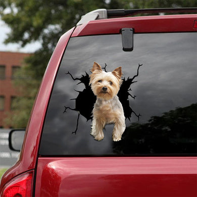 [ld1165-snf-lad]-australian-silky-terrier-crack-car-sticker-dogs-lover