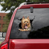 [ld1166-snf-lad]-australian-silky-terrier-crack-car-sticker-dogs-lover
