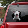 [sk0613-snf-tnt]-bull-terrier-sticker-dogs-lover