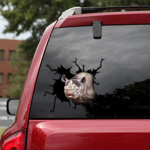 [th0193-snf-tpa]-rhino-crack-car-sticker-lover