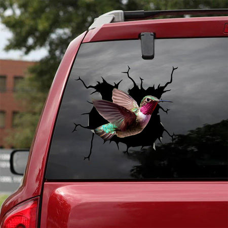 [bv0157-snf-tpa]-hummingbird-crack-car-sticker-birds-lover
