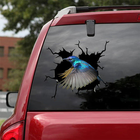 [bv0158-snf-tpa]-hummingbird-crack-car-sticker-birds-lover