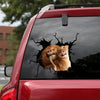 [sk0629-snf-lad]-lion-crack-car-sticker-animals-lover