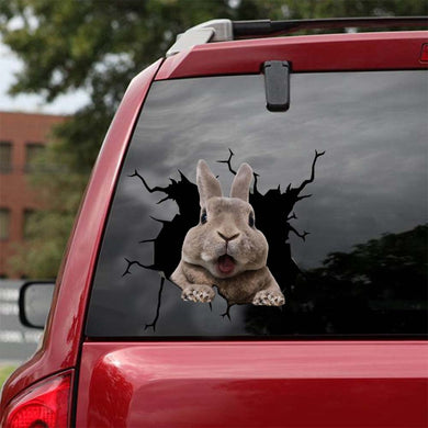 [sk0621-snf-lad]-bunny-crack-sticker-animals-lover