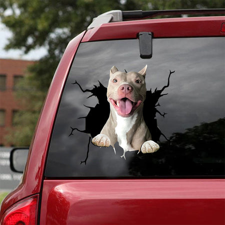 [ld0398-snf-lad]-pitbull-crack-car-sticker-dogs-lover