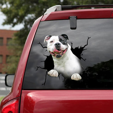 [ld0401-snf-lad]-pitbull-crack-car-sticker-dogs-lover