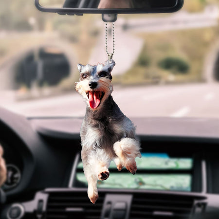 schnauzer-ornament-decorate-car