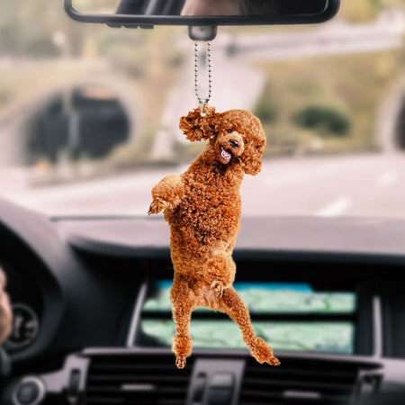 poodle-ornament-decorate-car